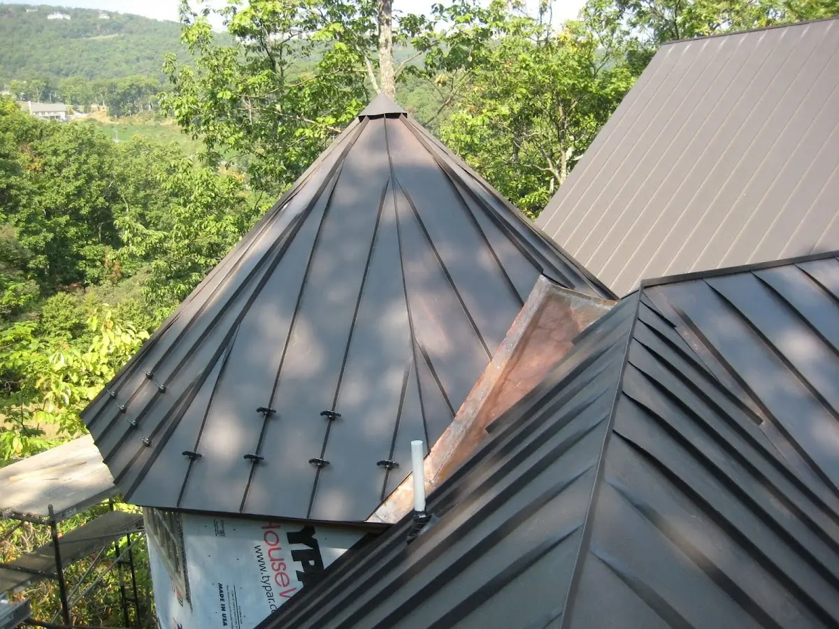 Professional Gutter Cleaning by Craftsman Roofing in Dominion Hills